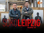 Amazon.de: SOKO Leipzig, Staffel 14 ansehen | Prime Video