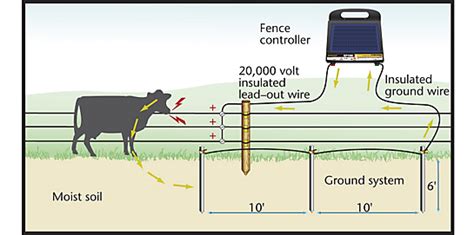 The voltage of the shock may have effects ranging from discomfort to death. Ground Rod Installation | Grounding Electric Fence | Zareba®