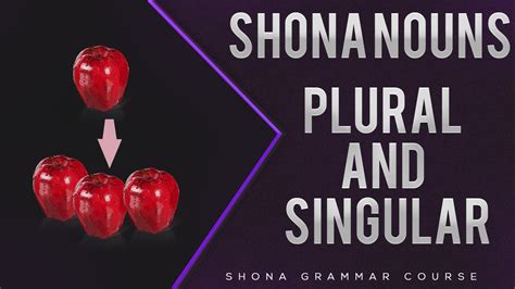 Learn Shona Shona Plural And Singular Nouns Huwandu Youtube