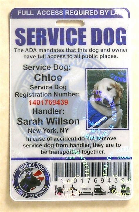 You should contact them as soon as possible, but at. HOLOGRAPHIC PVC SERVICE DOG ID BADGE SERVICE ANIMAL ID ...