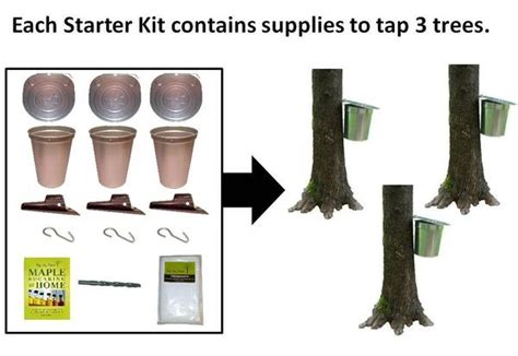 Starter Kit With Aluminum Buckets Tap My Trees Maple Sugaring For