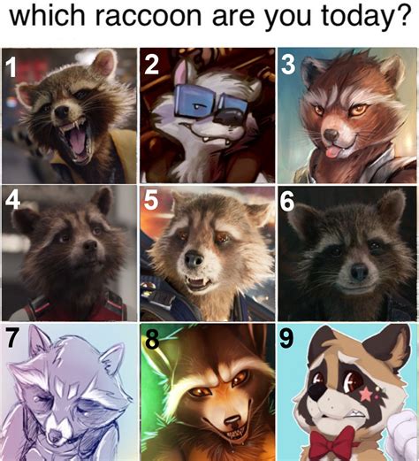 Cheese Grater Raccoon : The Benefits of Having a Raccoon Cheese Grater