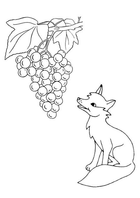 print coloring image momjunction fox coloring page fox images grape drawing