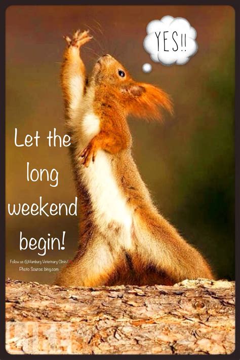 Weekend Funny Long Weekend Animal Funny Cute Squirrel Celebrate