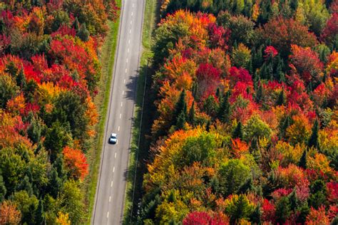 Great Mid Atlantic Road Trips For Fall Foliage Aaa Southern Pennsylvania