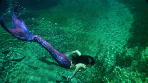 Real Mermaids Swimming Together Youtube
