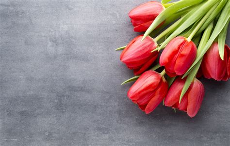 Wallpaper Flowers Bouquet Tulips Red Red Fresh Flowers Beautiful