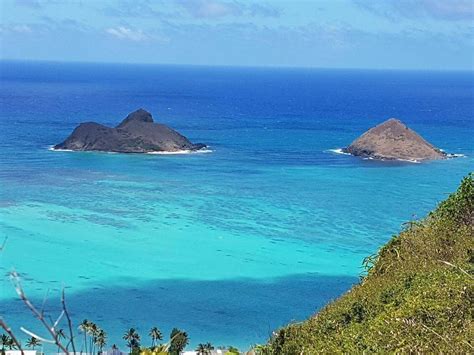 Pillbox Hike Kailua 2023 All You Need To Know Before You Go