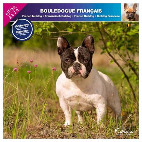 French Bulldog Calendar Dog Breed Calendars 2017 2018 Wall