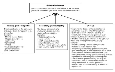 Figure 1 From Differential Diagnosis Of Glomerular Disease A