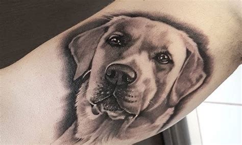 29 Labrador Retriever Tattoo Ideas And Designs For Men And Women