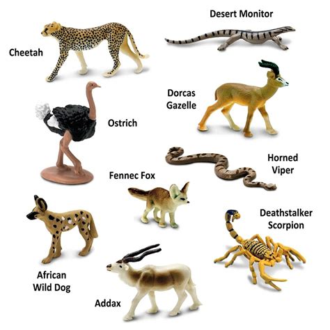 Sahara Desert Animals Educational Toy For Toddlers And Kids