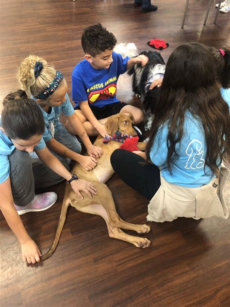 Ralphie's Big Dogs Kid's Club - Humane Society of Broward County