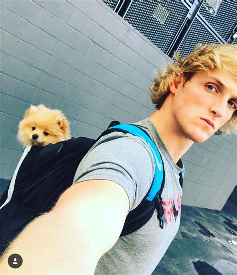 Pin On Logan Paul And Friends
