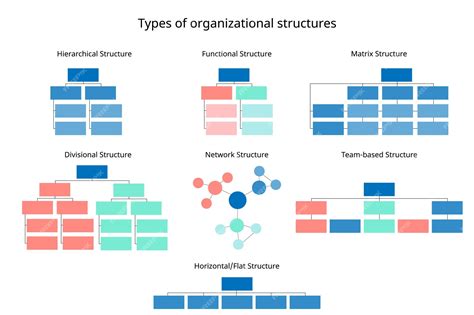 premium vector 7 types of organizational structures to organize the company organization chart