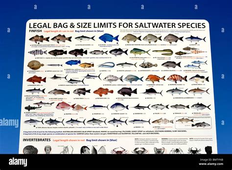 A Sign Displays Bag Limits For Some Of The Fish That Can Be Caught Off