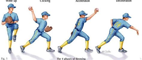 What Is Little League Elbow Hands On Physical Therapy