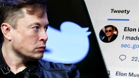 Elon Musk Intends To Lay Off 75 Of Twitter Employees