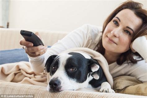 Talk to your veterinarian for help picking the best pet. British pets watch 21 hours of television a week and like ...