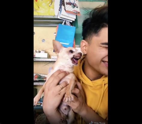 Semoga dengan adanya artikel singkat ini bisa. VIDEO VIRAL: Muestra en Tik Tok cómo "exorciza" a su perro | La Verdad Noticias