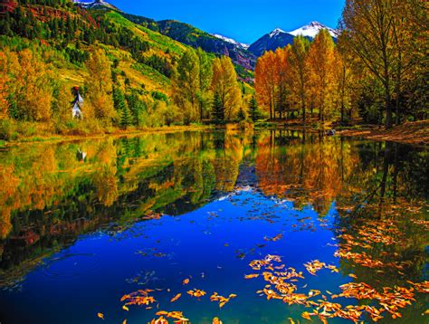 Autumn Trees Reflected In The Lake