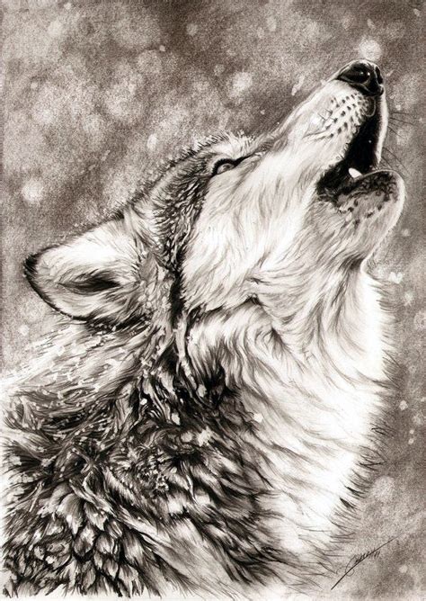 40 Realistic Animal Pencil Drawings