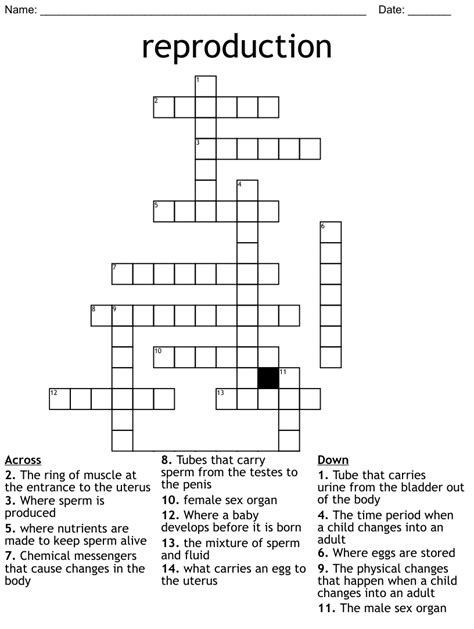 Reproductive Systems Crossword Wordmint