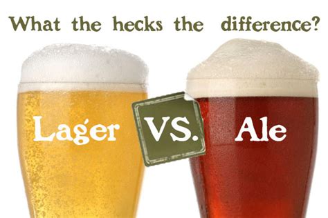 Ale Vs Lager Whats The Difference — Tapville Social