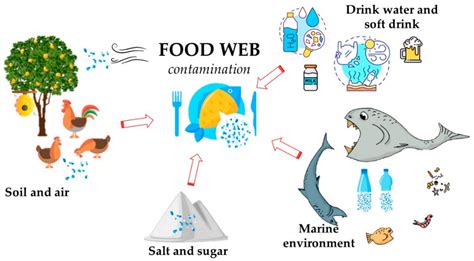 Toxics Free Full Text Microplastics In The Environment Intake