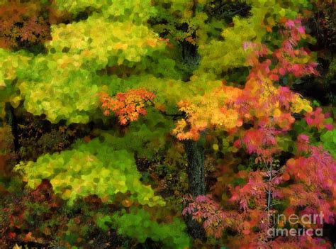 A Painting Adirondack Autumn Photograph By Mike Nellums Fine Art America