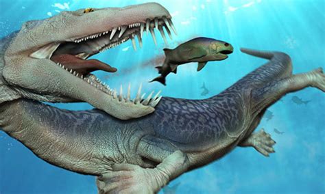 Prehistoric Sea Monsters Size