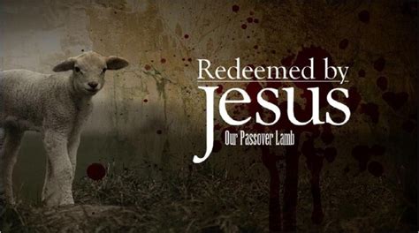 Lamb Of God Passover Lamb Resurrection Day Jesus