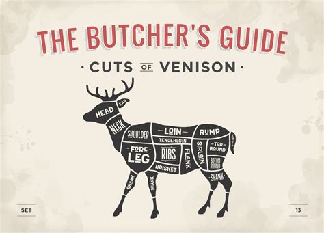 Cut Of Meat Set Poster Butcher Diagram Scheme Venison Oak Creek