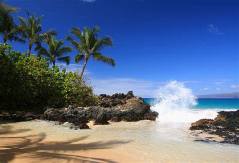 Maui Hawaii Pacific Ocean Palm Tree Beach Scene Stock
