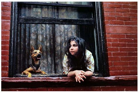 51 2nd floor, 229 helen joseph street pretoria , 0001. Шедевры Street-фото - Секреты мастерства - Лента ...