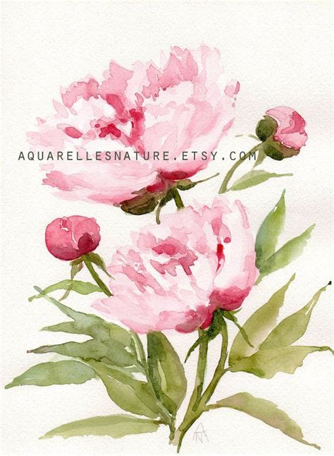 Pink Peonies Original Watercolor Painting Floral Art Peony Etsy
