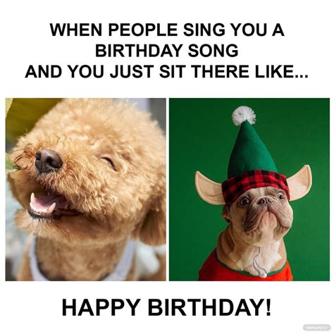 Funny Happy Birthday Best Friend Meme In Psd Illustrator  