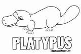 Platypus Coloring Puppet Patterns Hand Colouring Puppets Tucson Colour Thetucsonpuppetlady Sewing sketch template