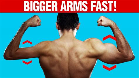 6 Easy Workouts To Bulk Up Your Arms Youtube