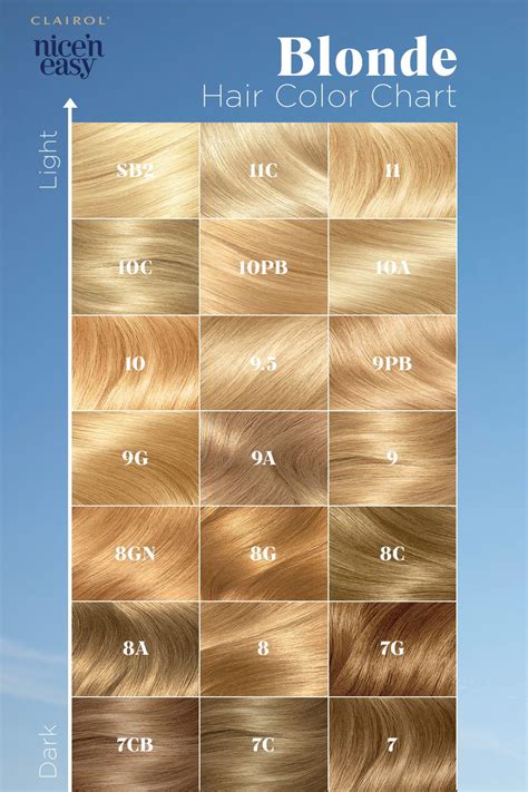 Blonde Dye Color Chart