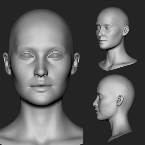 3d modeling face reference female head 5 3d print model face character art our
