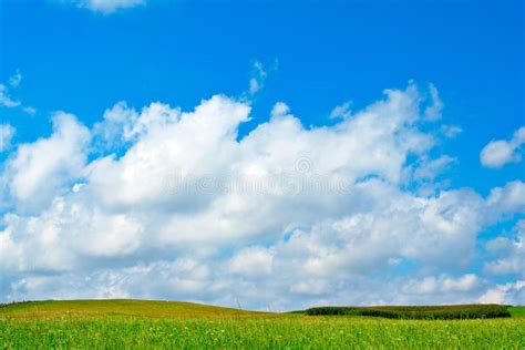 Green Field Blue Sky And White Clouds Stock Image Image Of Color