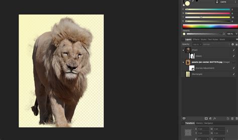 How To Remove Photo Background In Affinity Designer Beginners Good