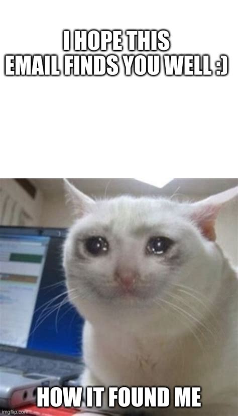 Image Tagged In Blank White Template Crying Cat Imgflip