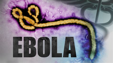 Ebola 2 is created in the spirit of the great classics of survival horrors. Can You Get The Ebola Virus From A Swimming Pool Or Hot Tub