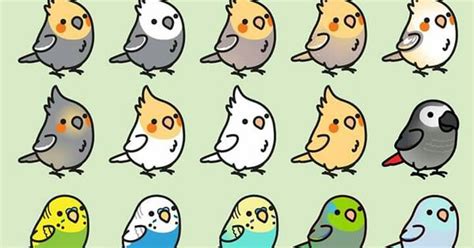 Oiseaux Kawaii Tableau Noir Pinterest Kawaii