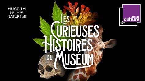 Les Curieuses Histoires Du Muséum Une Co Production France Culture