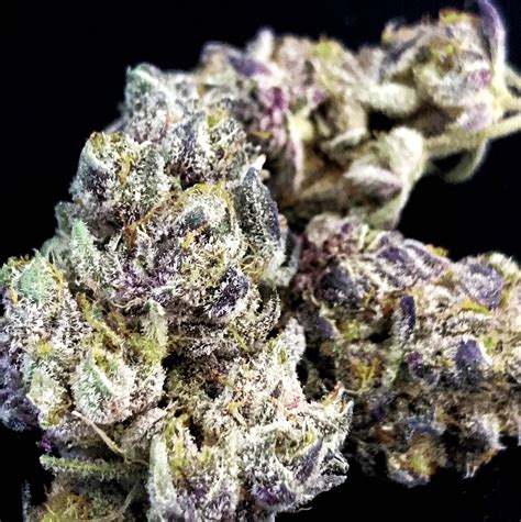 Blueberry Cookies Marijuana Strain Information & Reviews | AllBud