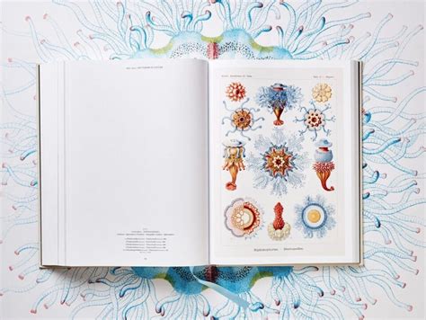 The Art And Science Of Ernst Haeckel A Compendium Of Colorfully