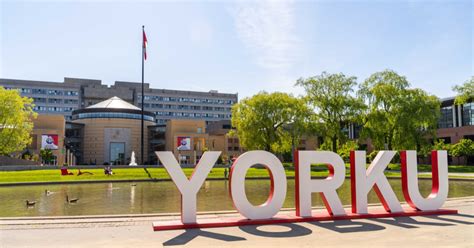 York University On Twitter Wed Like To Extend A Warm York University